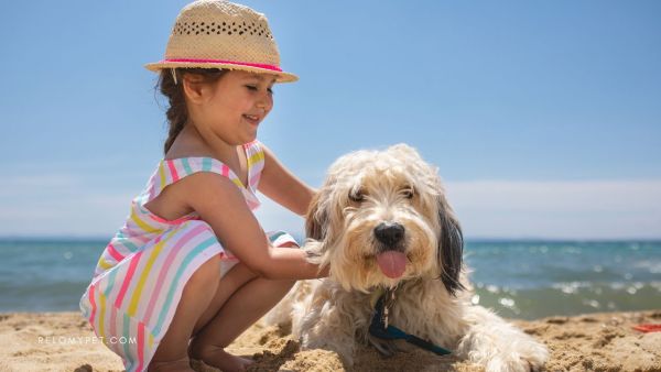 PET-FRIENDLY CEFALONIA, L’ISOLA A MISURA DI ZAMPA